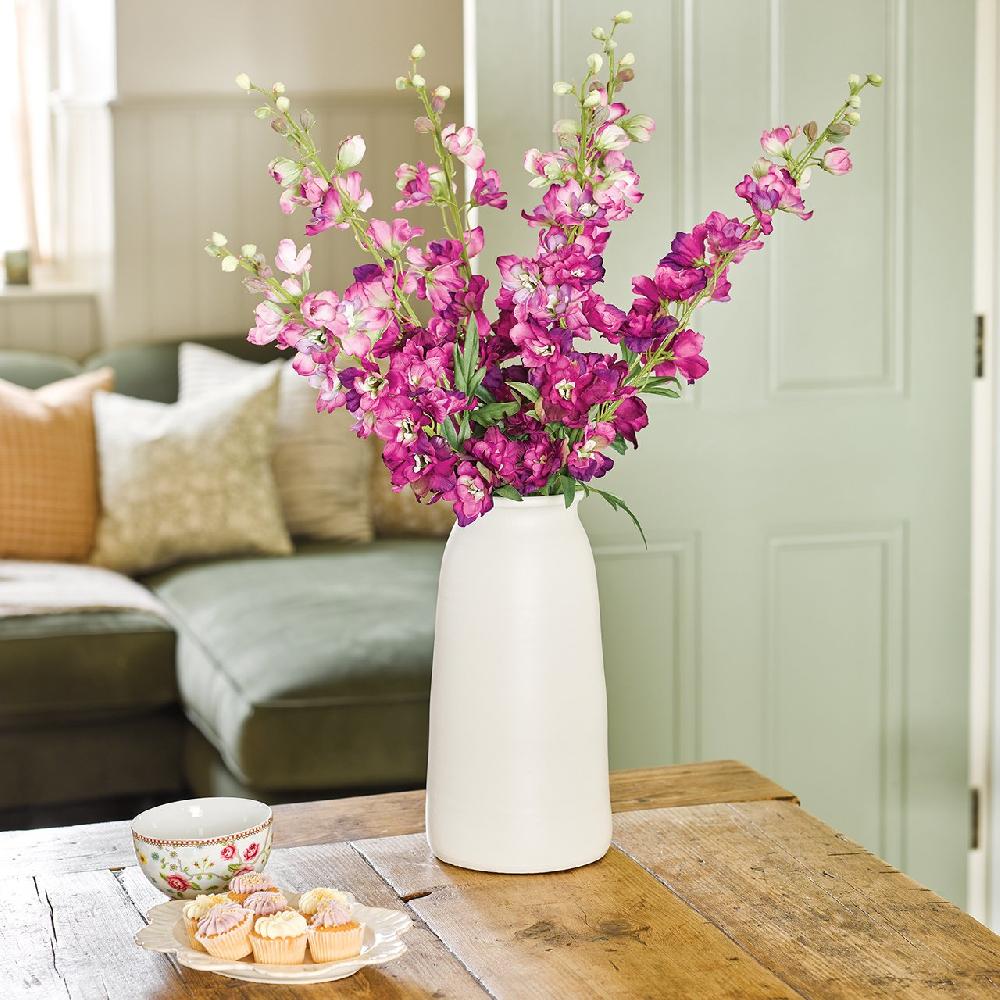 bloom The Joy of Delphiniums Collection