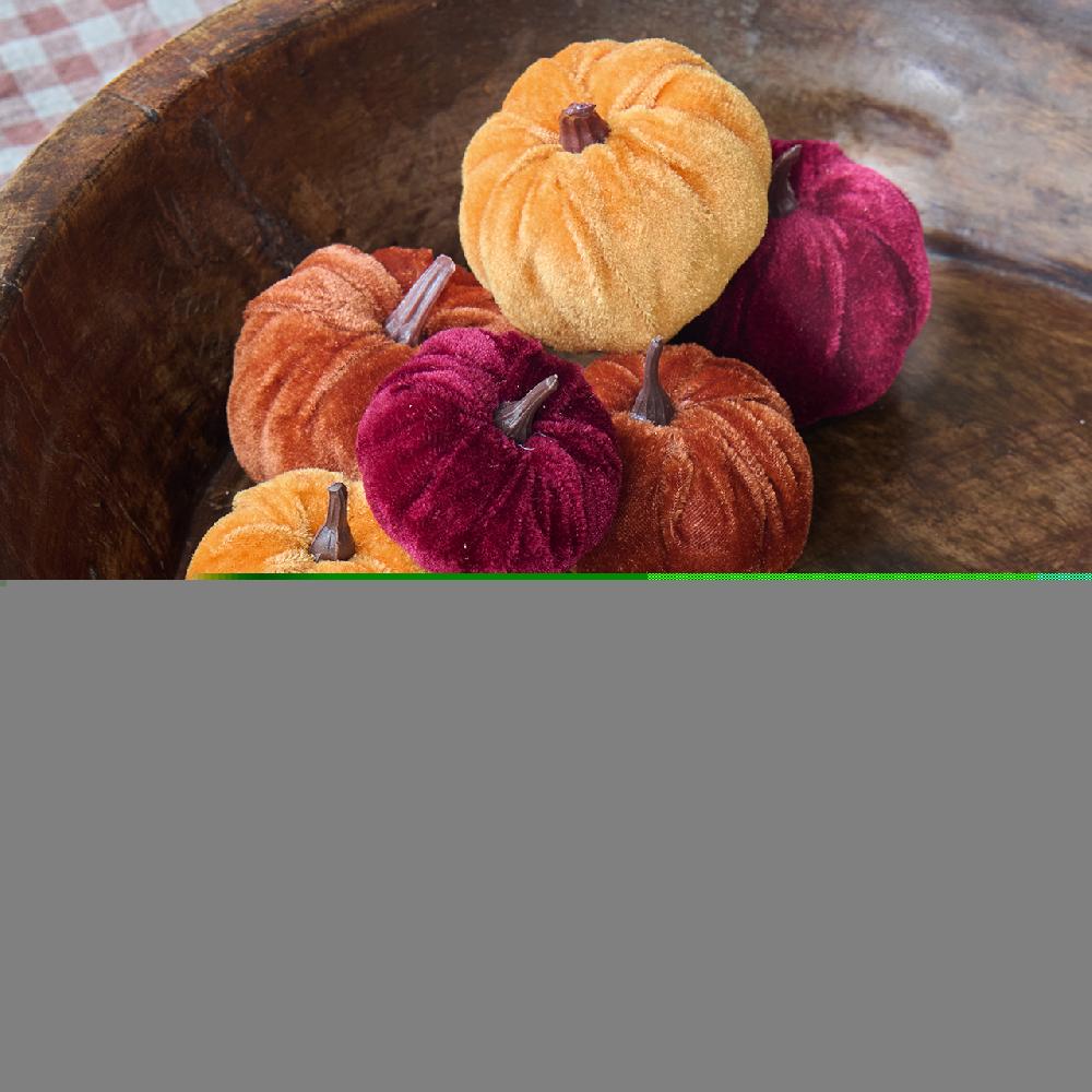 bloom Velvet Pumpkin Collection
