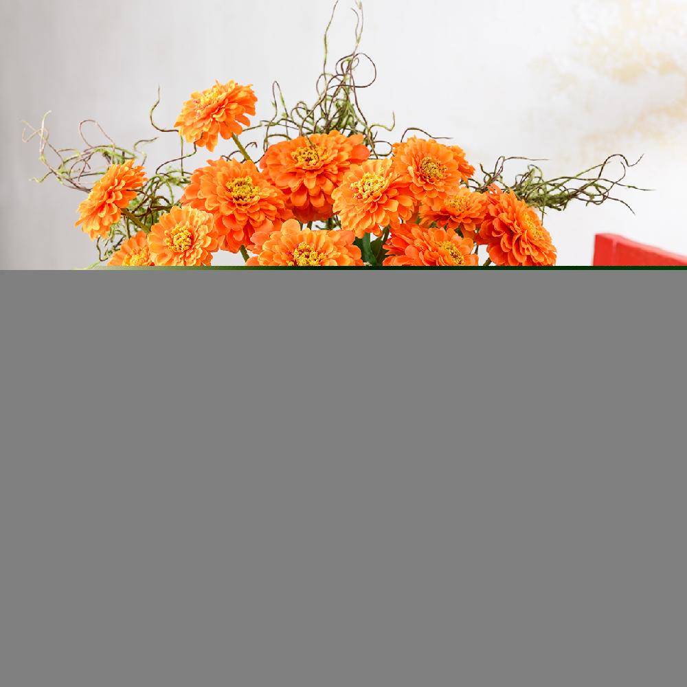 bloom Warm at Heart Collection