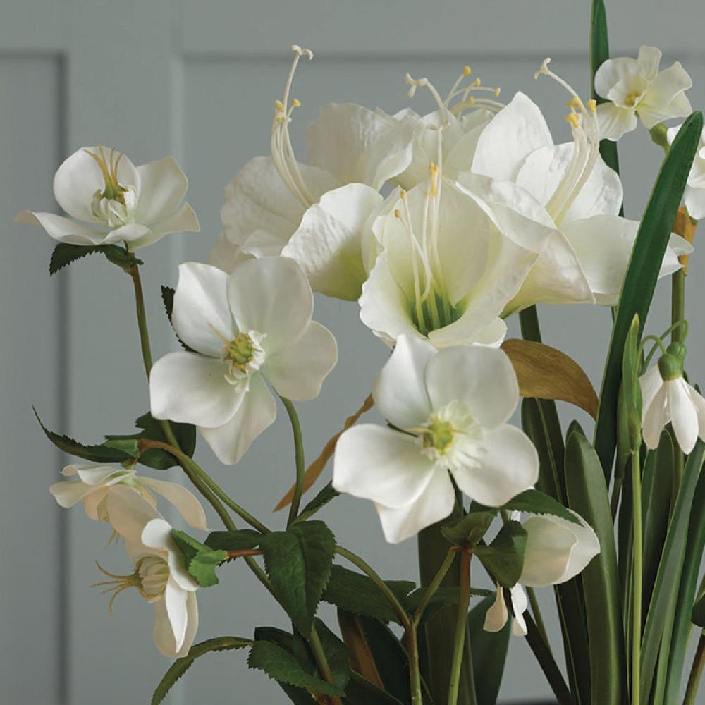 Bloom White Amaryllis In A Footed Glass Vase