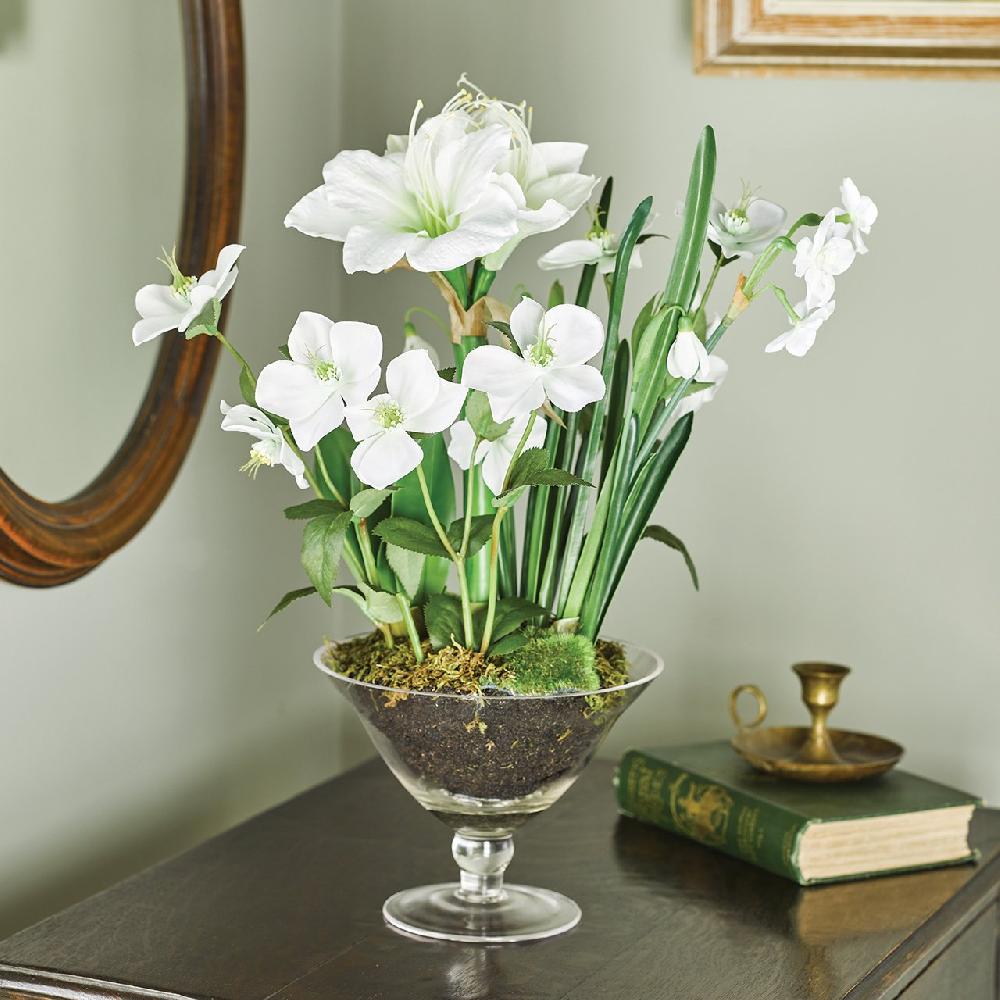 bloom White Amaryllis in a Footed Glass Vase