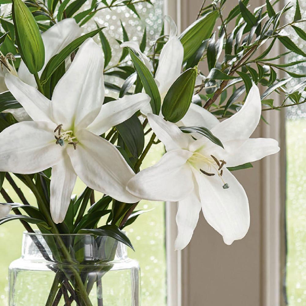 Bloom White Casablanca Lily Stem