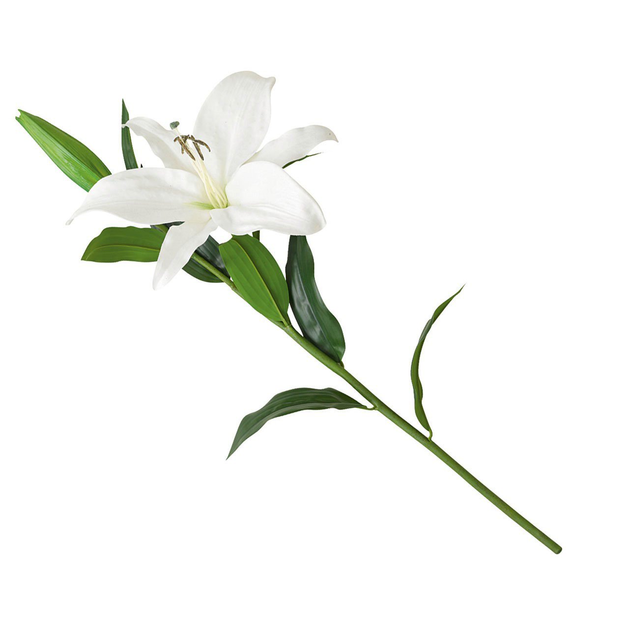 Bloom White Casablanca Lily Stem