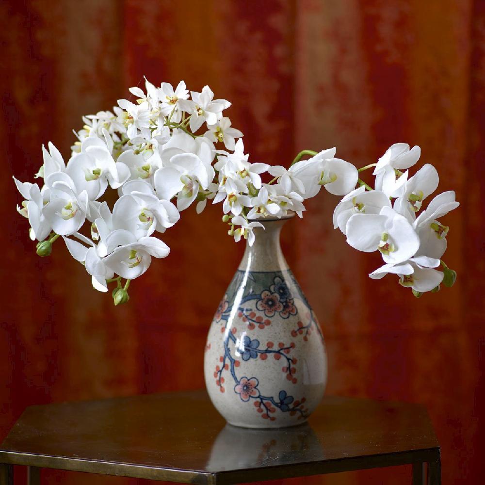 bloom White Phalaenopsis Single Stem