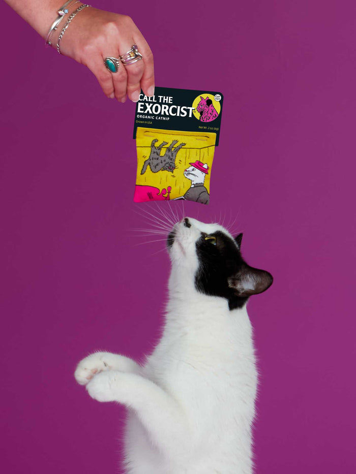 Blue Q Call The Exorcist Catnip Toy