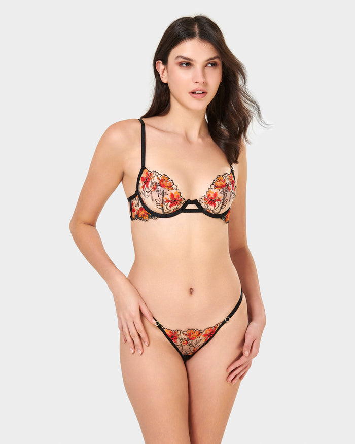 Bluebella Calista Brief Black/Red