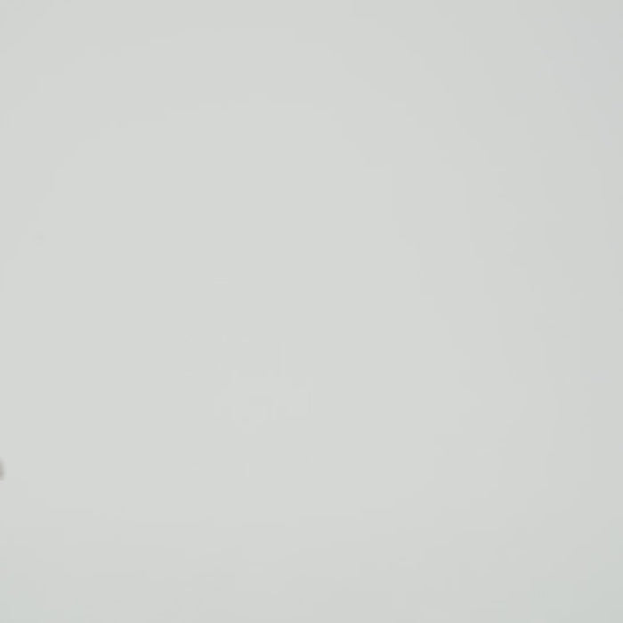 Bluebella Etienne Embroidered Sheer Bodysuit Black