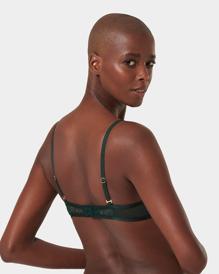 Bluebella Laurel Leaf Embroidered Bra Green