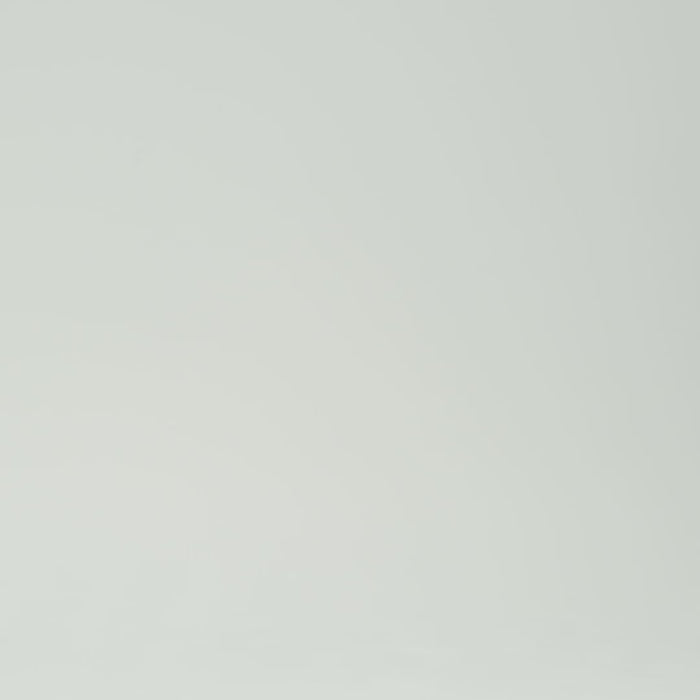 Bluebella Mina Fishnet Bodysuit Black