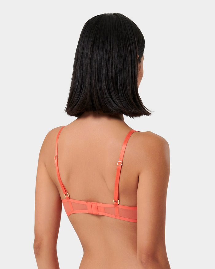 Bluebella Naomi Mesh Bralette Coral