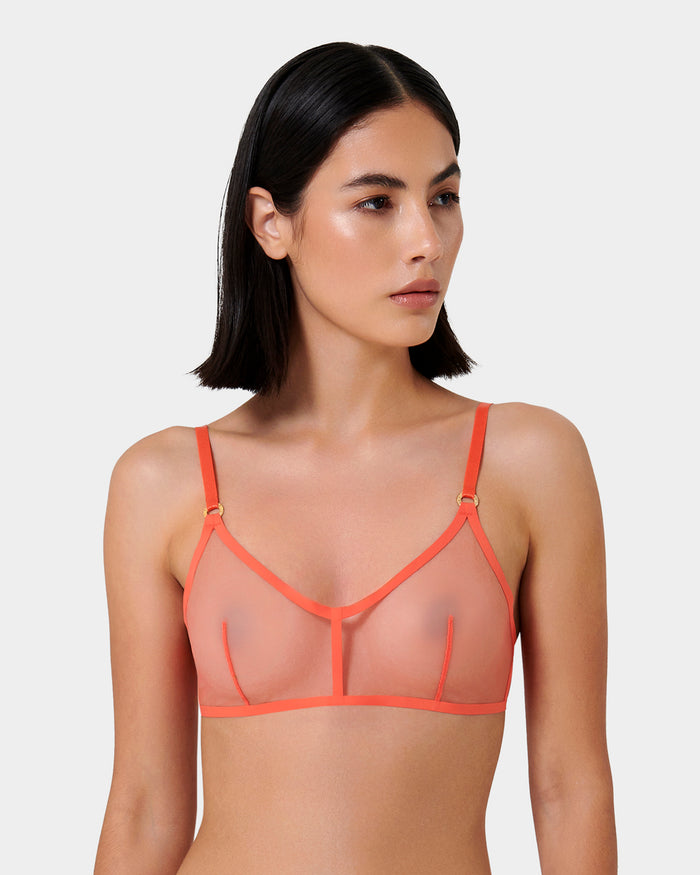 bluebella Naomi Mesh Bralette Coral
