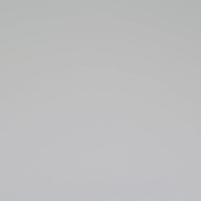 Bluebella Rafaela Embroidered Sheer Bodysuit White