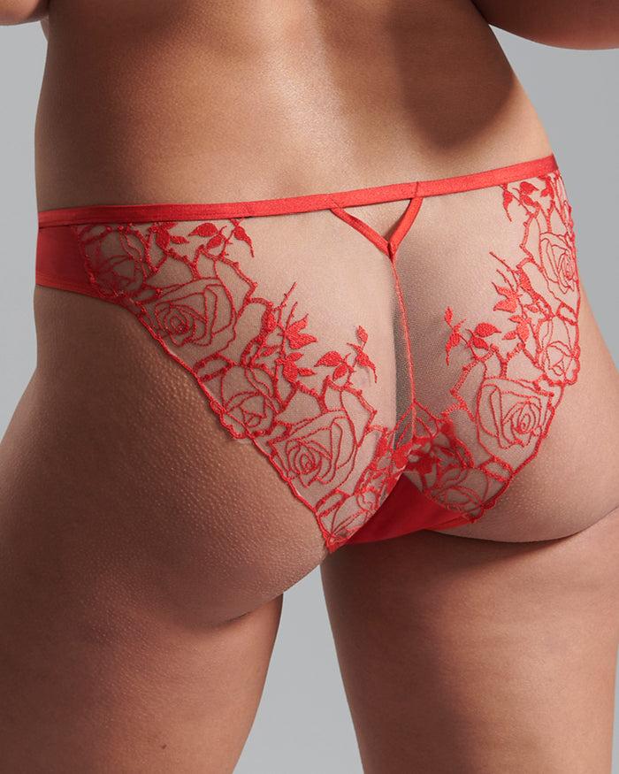 Bluebella Rosalie Brief Red/Sheer