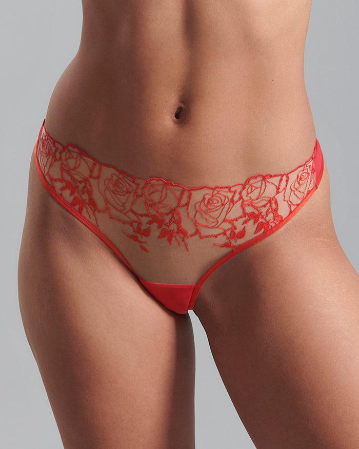 bluebella Rosalie Brief Red/Sheer