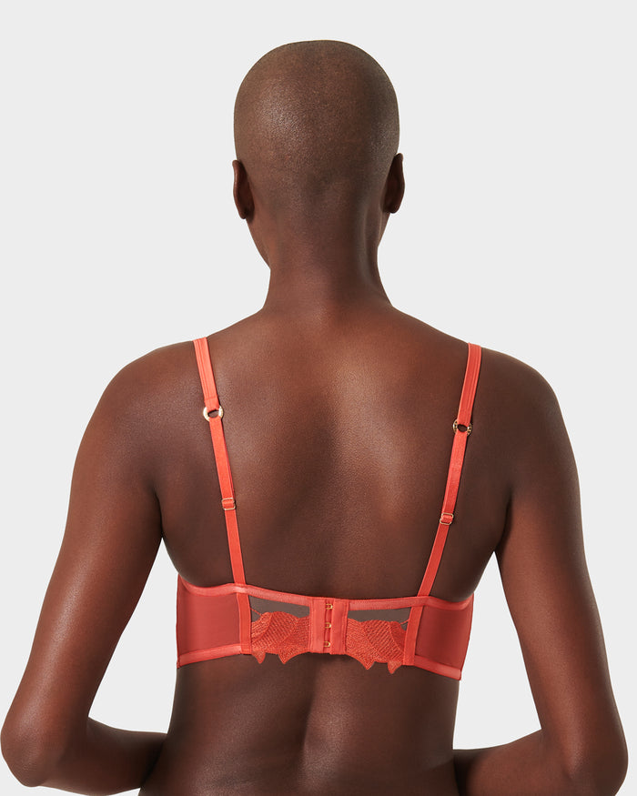 Bluebella Serenity Longline Bra Coral