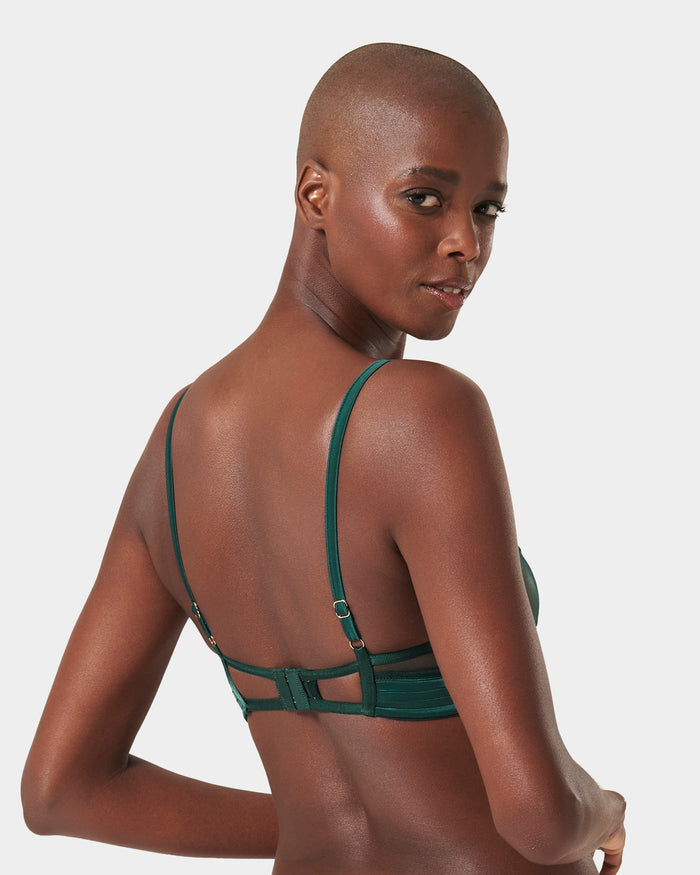 Bluebella Stephanie Wired Bra Botanical Garden Green
