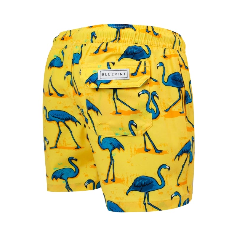 Bluemint ARTHUS BOY STRETCH CITRUS FLAMINGO Kids Swim Shorts