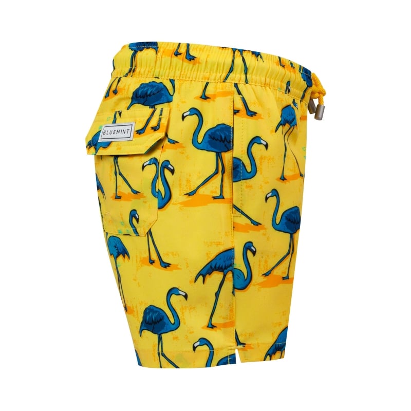 Bluemint ARTHUS BOY STRETCH CITRUS FLAMINGO Kids Swim Shorts
