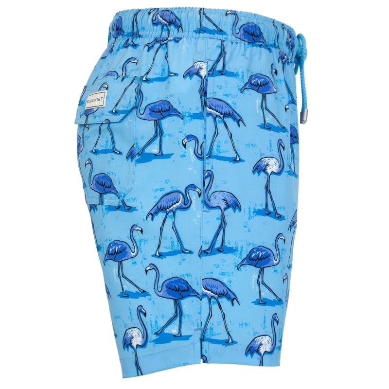 Bluemint ARTHUS STRETCH ARCTIC FLAMINGO Four Way Stretch Swim Shorts