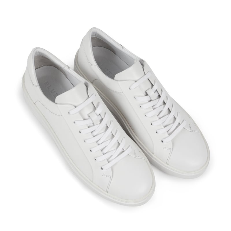Bluemint DEWARS WHITE White Leather Sneakers