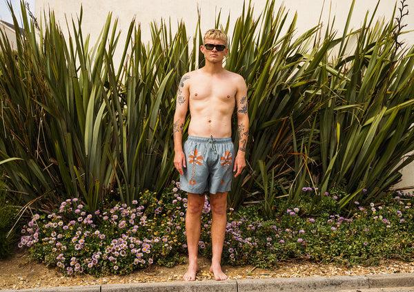 Boardies Oasis Palms