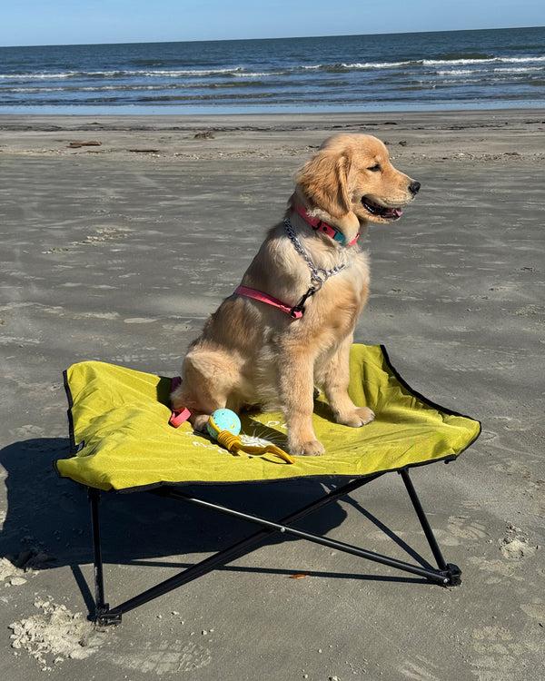 Body Glove Fold & Go Pet Cot - Lime