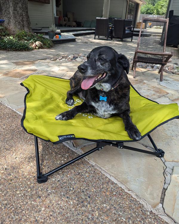 body glove Fold & Go Pet Cot - Lime