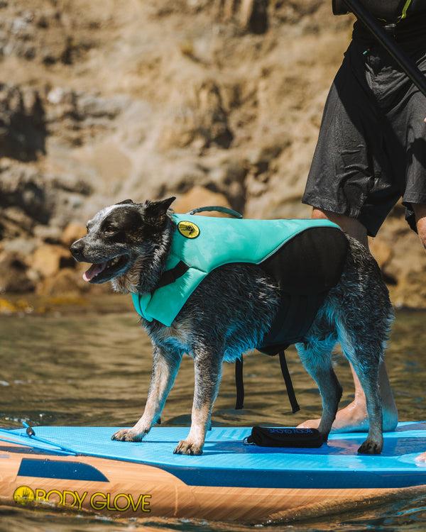 body glove Neoprene Pet Life Jacket - Teal