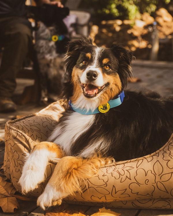 body glove Paintflower Kuddler Pet Bed - Earth