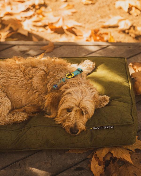 body glove Paintflower Pet Napper - Moss