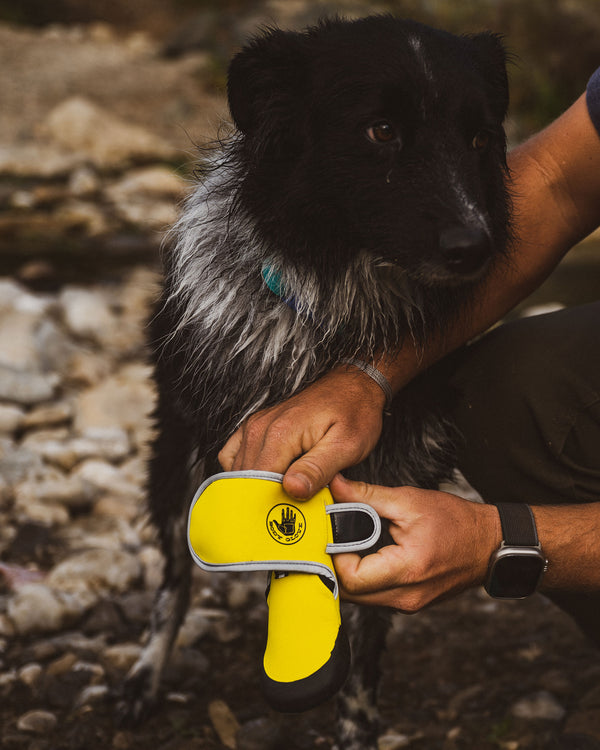 Body Glove Paw Protector Booties - Yellow