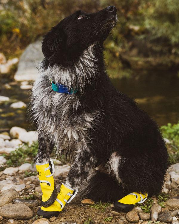 body glove Paw Protector Booties - Yellow