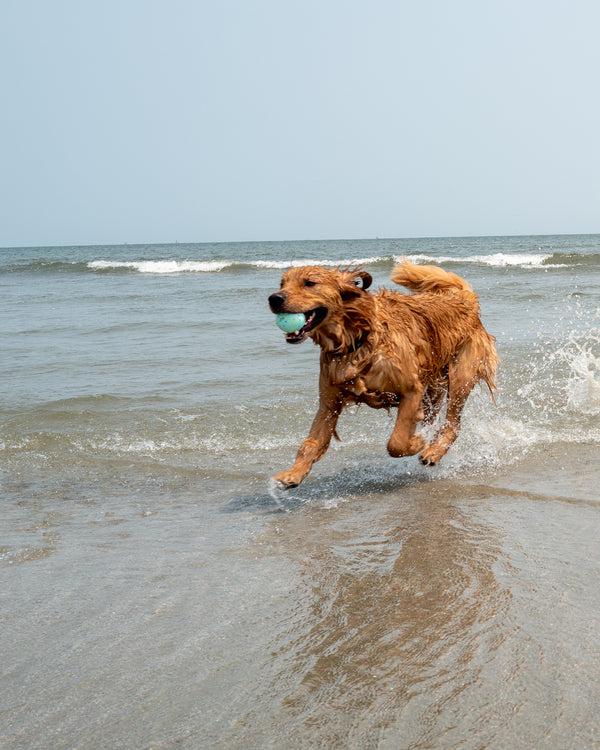 Body Glove Tough Ball 3 Pack Large - Teal Confetti