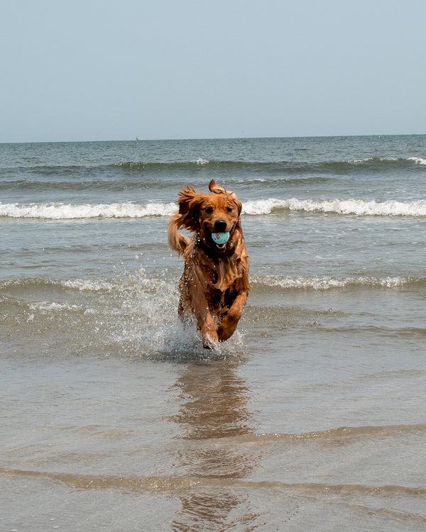 body glove Tough Ball 3 Pack Large - Teal Confetti