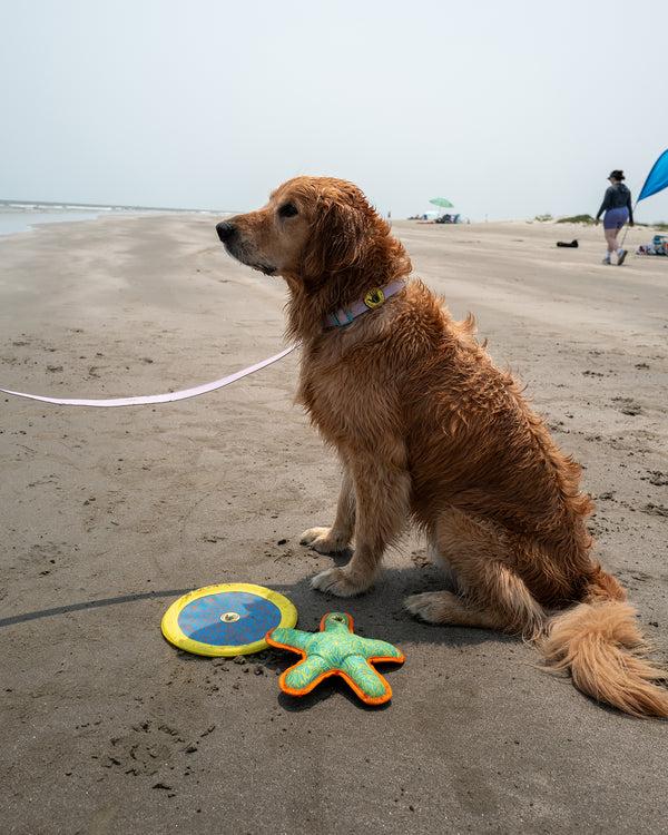 Body Glove Tough Toss Disc - Yellow