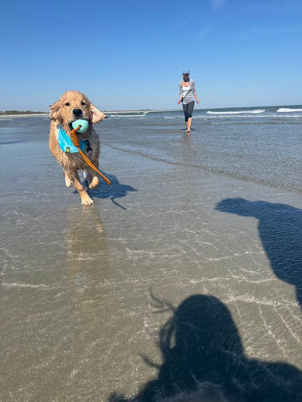 Body Glove Tough Tug Toy - Teal Confetti