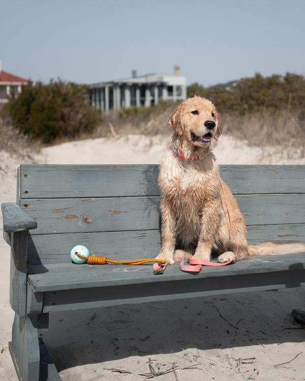 body glove Tough Tug Toy - Teal Confetti