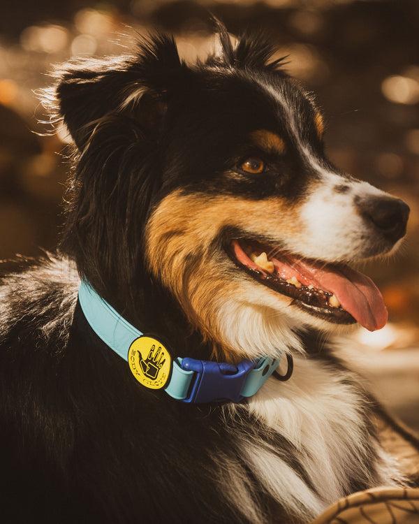 body glove Waterproof Collar - Sea Mist