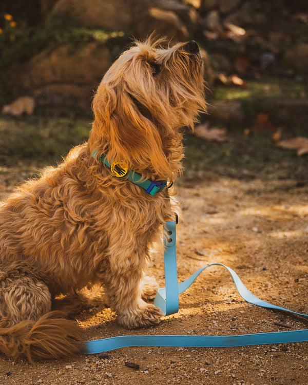 body glove Waterproof Leash - Sea Mist