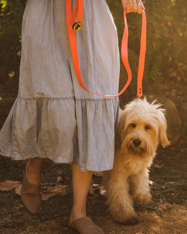 body glove Waterproof Leash - Sunset