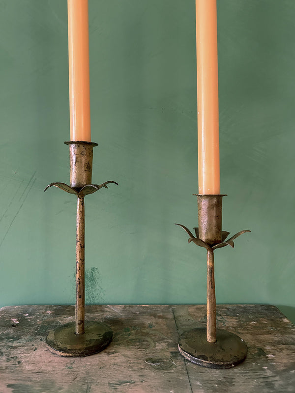 Bohemia Design Candle Holder Daffodil