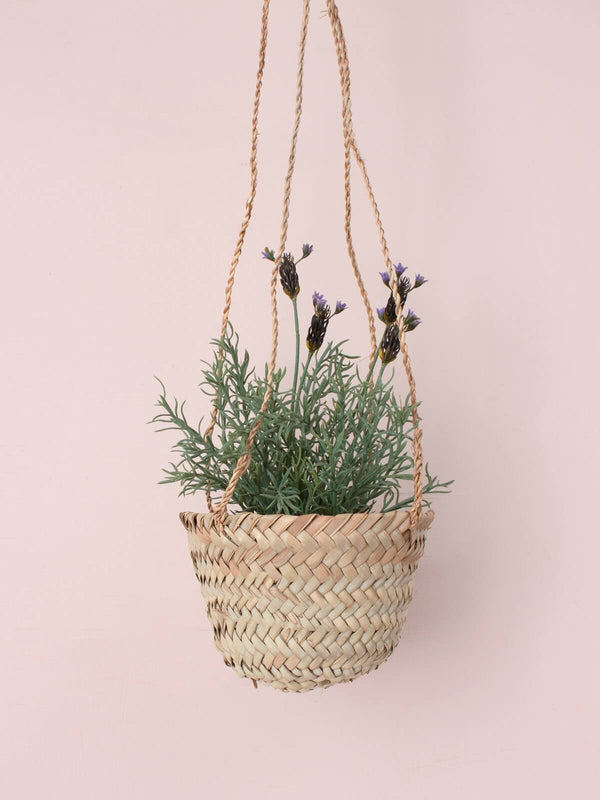 Bohemia Design Hanging Baskets
