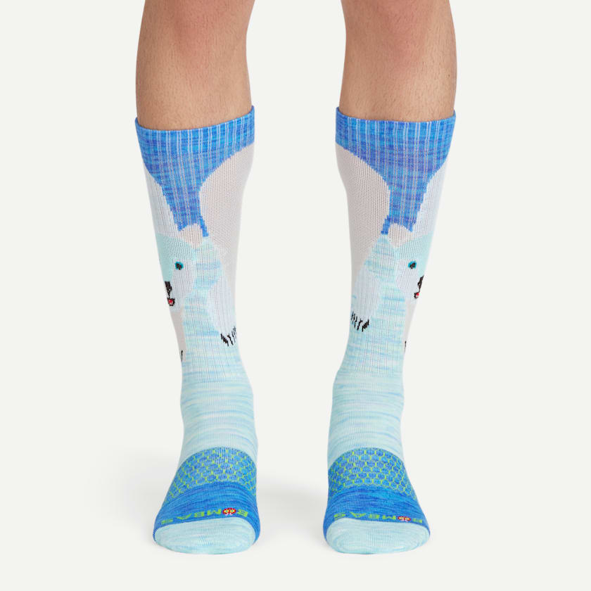 Bombas Eric Carle Polar Bear Calf Socks