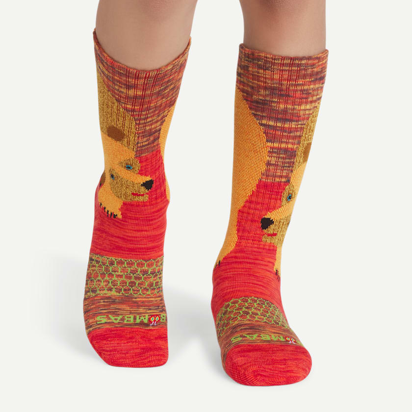 Bombas Youth Eric Carle Calf Sock 4-Pack Gift Box