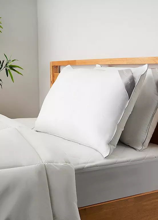 Bonprix 365 Freemans Feels Like Down Pair Of Pillows