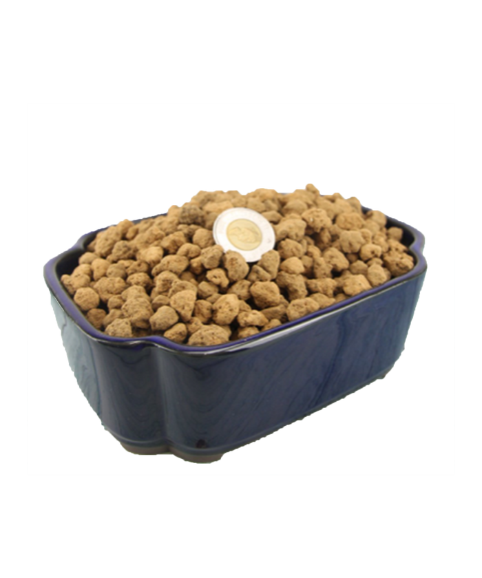 bonsai Akadama bonsai Akadama