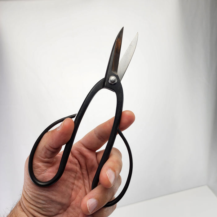 Bonsai Ashinaga Shears
