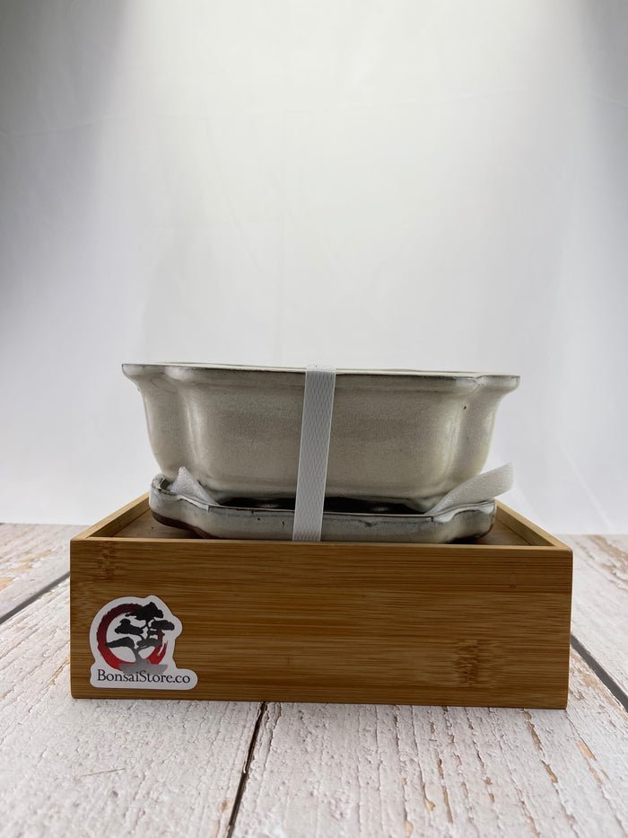 Bonsai Ceramic Pot With Humidity Tray - Cream Lotus