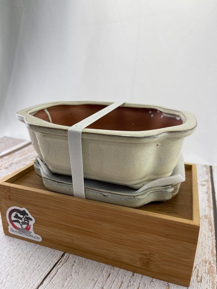 Bonsai Ceramic Pot With Humidity Tray - Cream Lotus