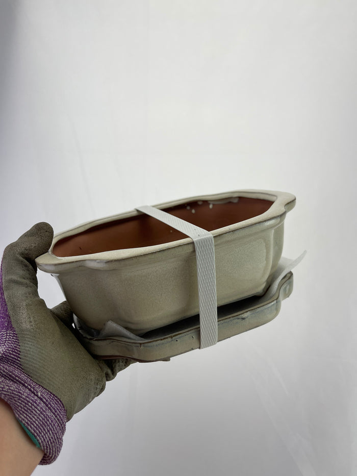 Bonsai Ceramic Pot With Humidity Tray - Cream Lotus